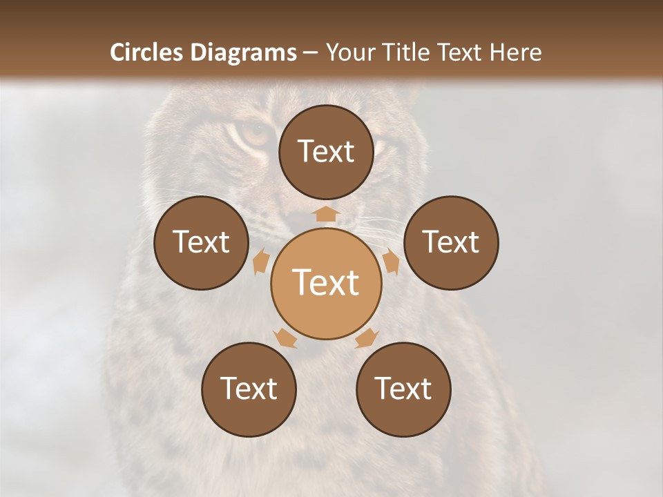 Zoo Food Cat PowerPoint Template