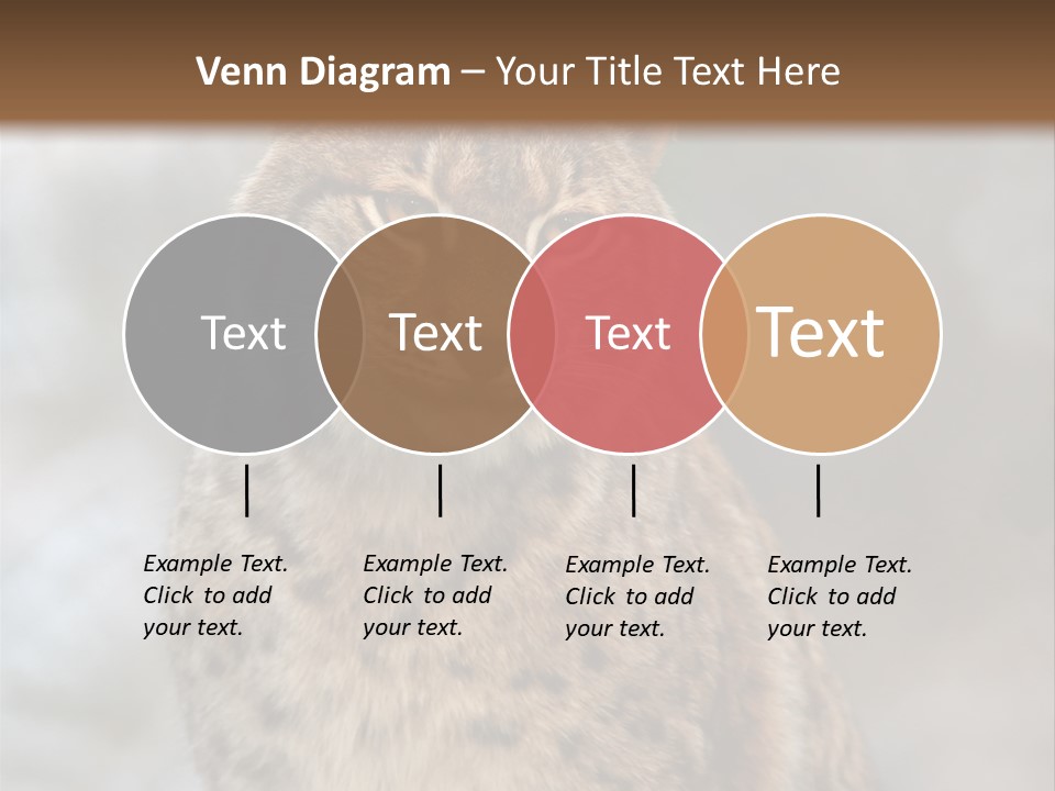 Zoo Food Cat PowerPoint Template