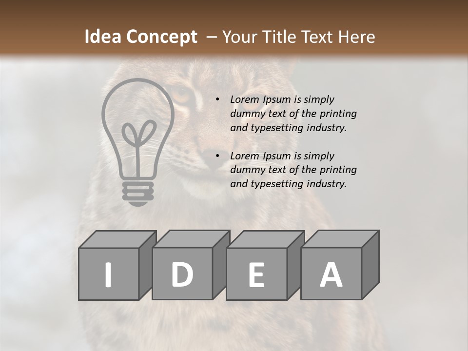 Zoo Food Cat PowerPoint Template