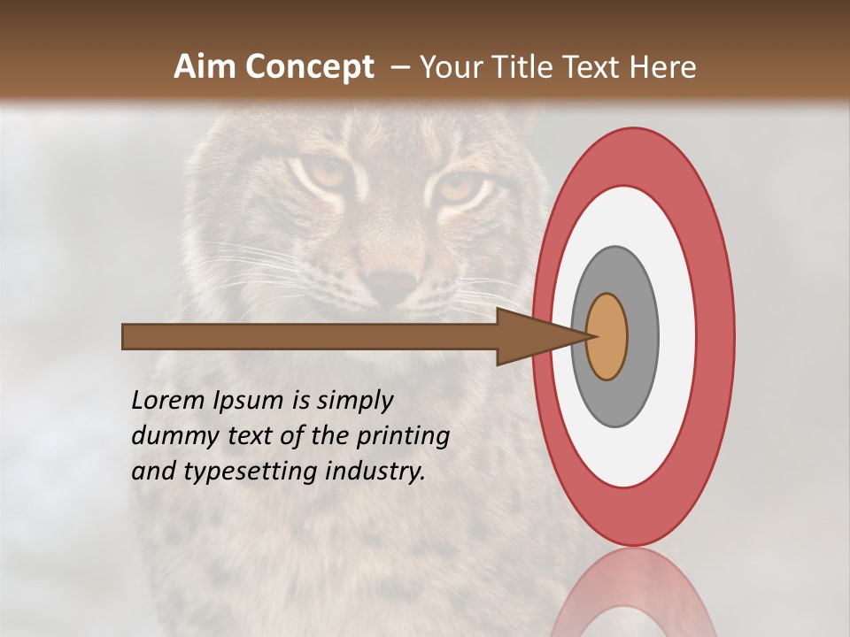 Zoo Food Cat PowerPoint Template