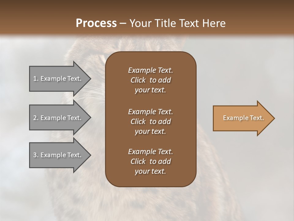 Zoo Food Cat PowerPoint Template