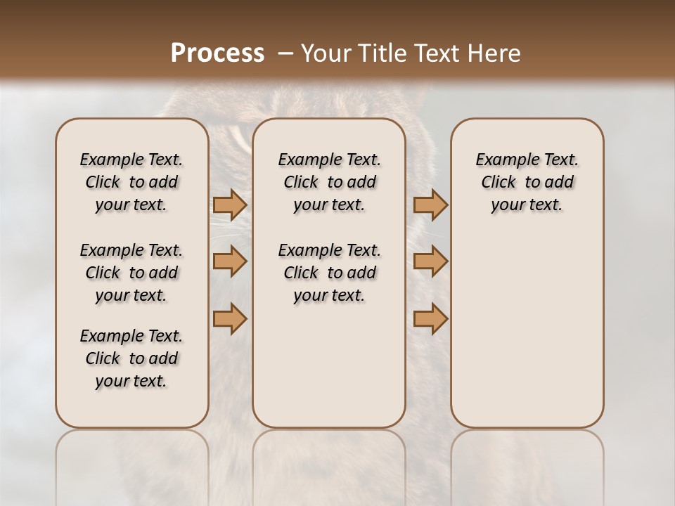 Zoo Food Cat PowerPoint Template