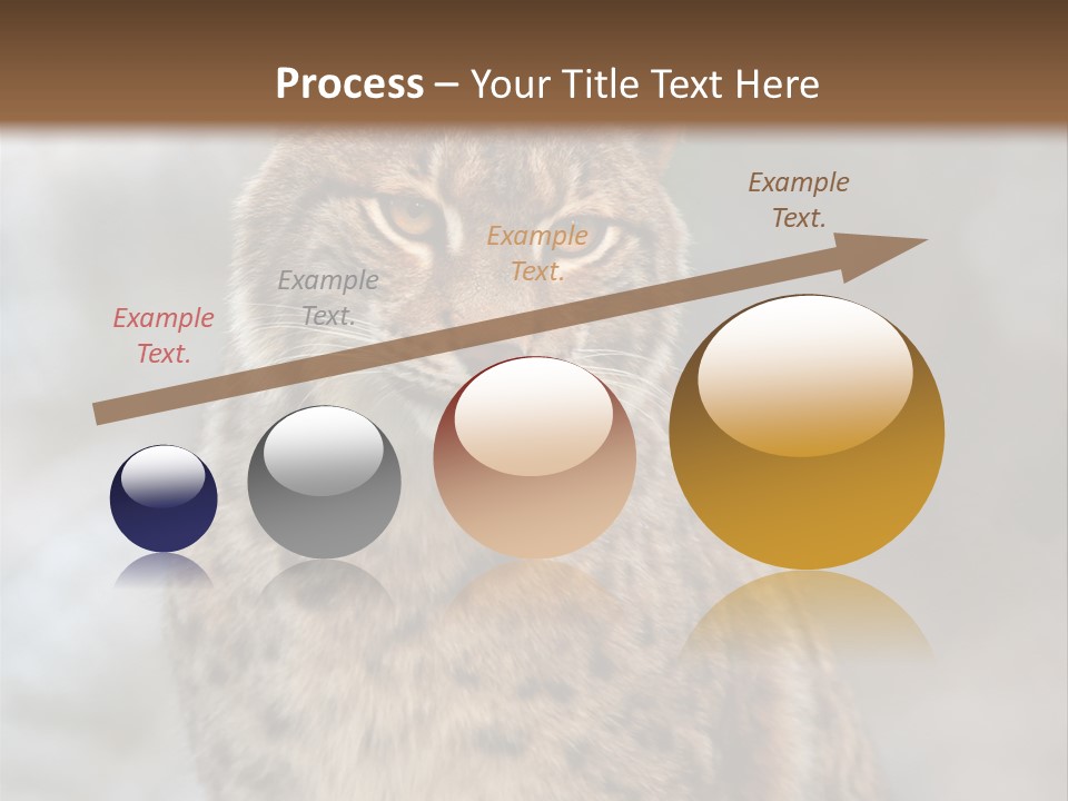 Zoo Food Cat PowerPoint Template