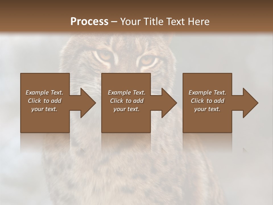 Zoo Food Cat PowerPoint Template