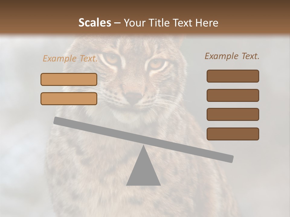 Zoo Food Cat PowerPoint Template
