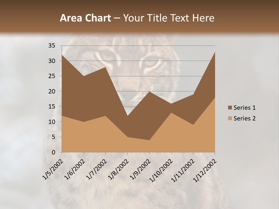 Zoo Food Cat PowerPoint Template