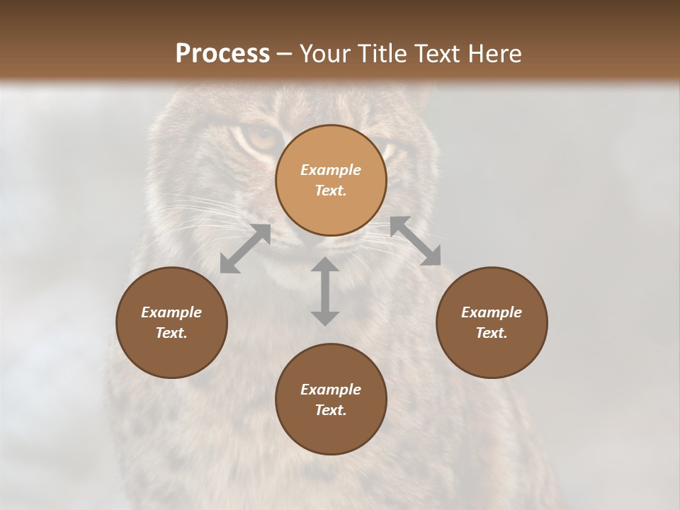 Zoo Food Cat PowerPoint Template