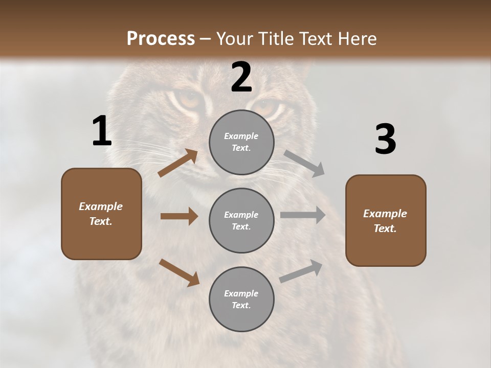 Zoo Food Cat PowerPoint Template