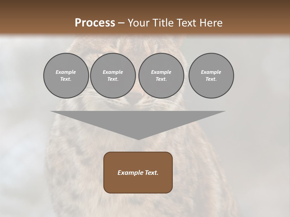 Zoo Food Cat PowerPoint Template