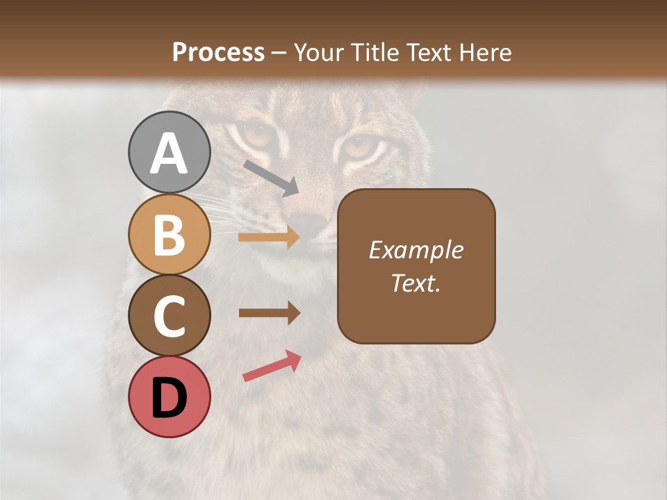 Zoo Food Cat PowerPoint Template