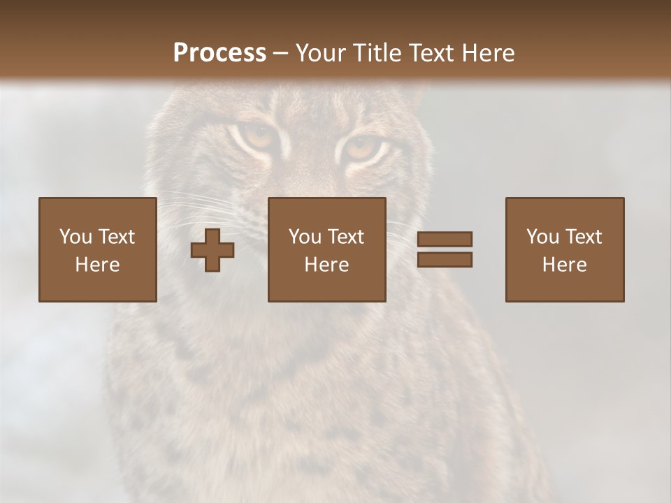 Zoo Food Cat PowerPoint Template