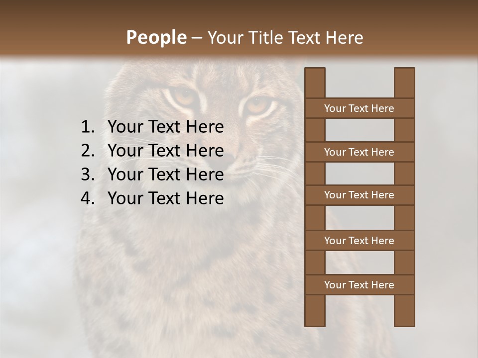 Zoo Food Cat PowerPoint Template