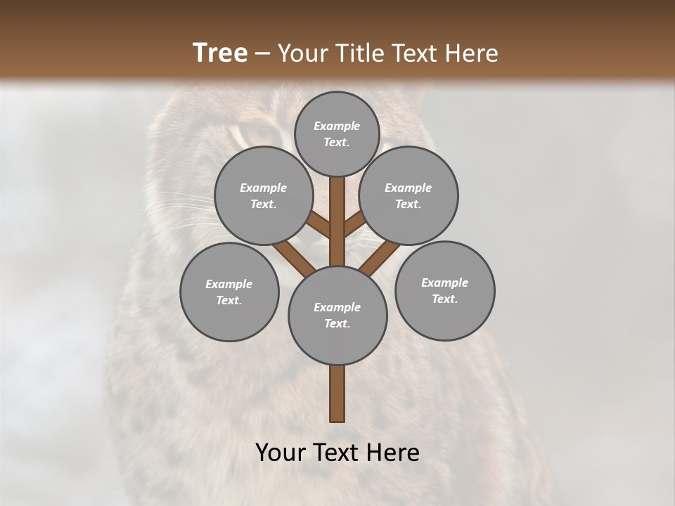 Zoo Food Cat PowerPoint Template