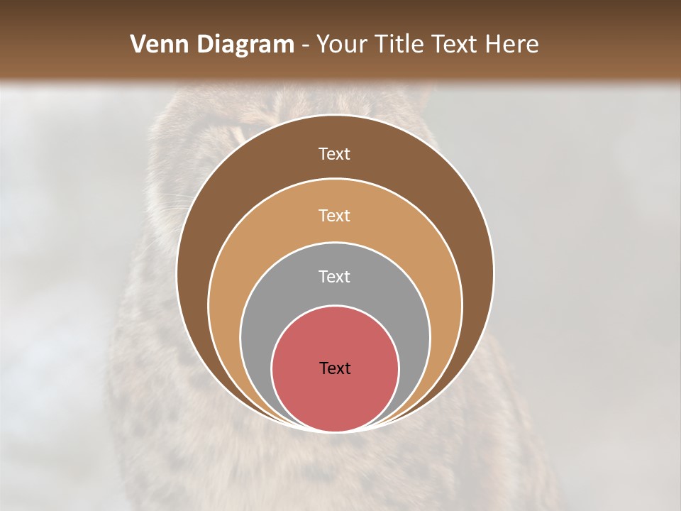 Zoo Food Cat PowerPoint Template