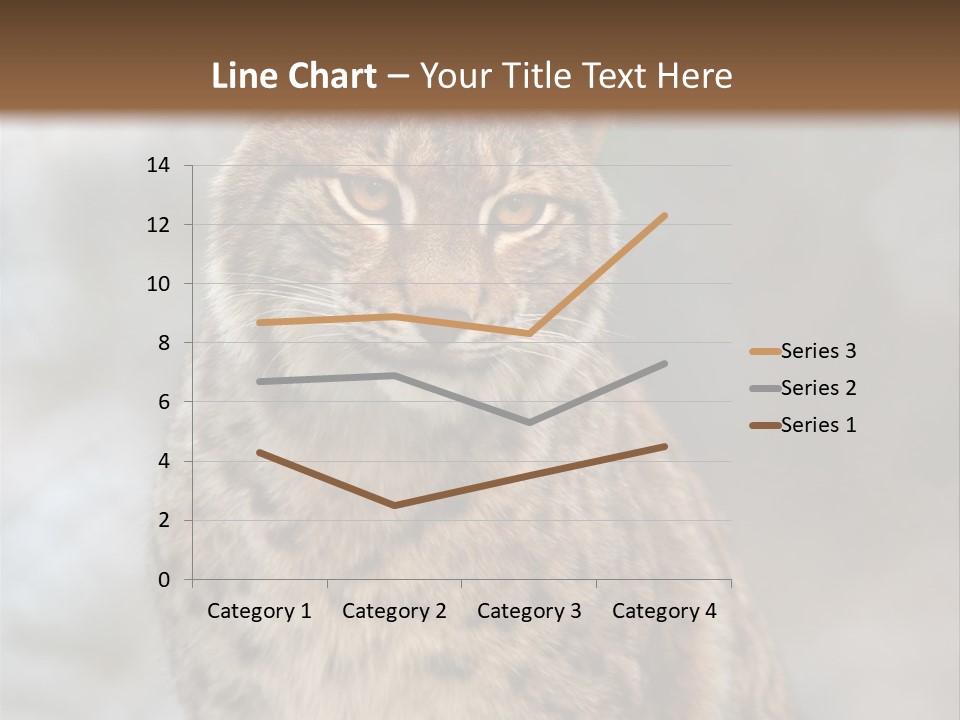 Zoo Food Cat PowerPoint Template