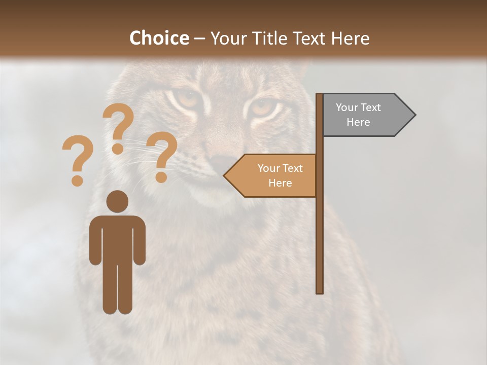 Zoo Food Cat PowerPoint Template