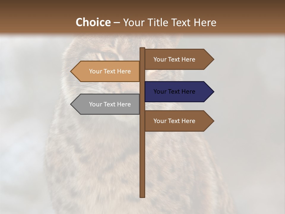 Zoo Food Cat PowerPoint Template