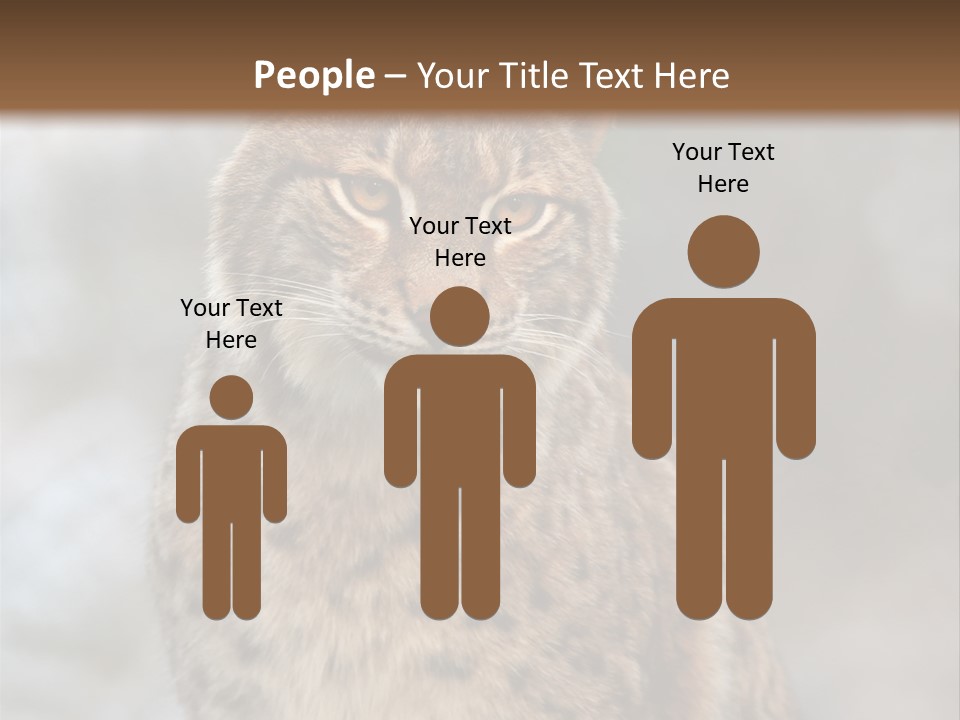 Zoo Food Cat PowerPoint Template