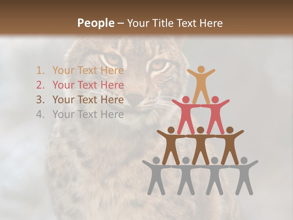 Zoo Food Cat PowerPoint Template