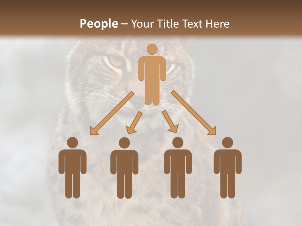 Zoo Food Cat PowerPoint Template