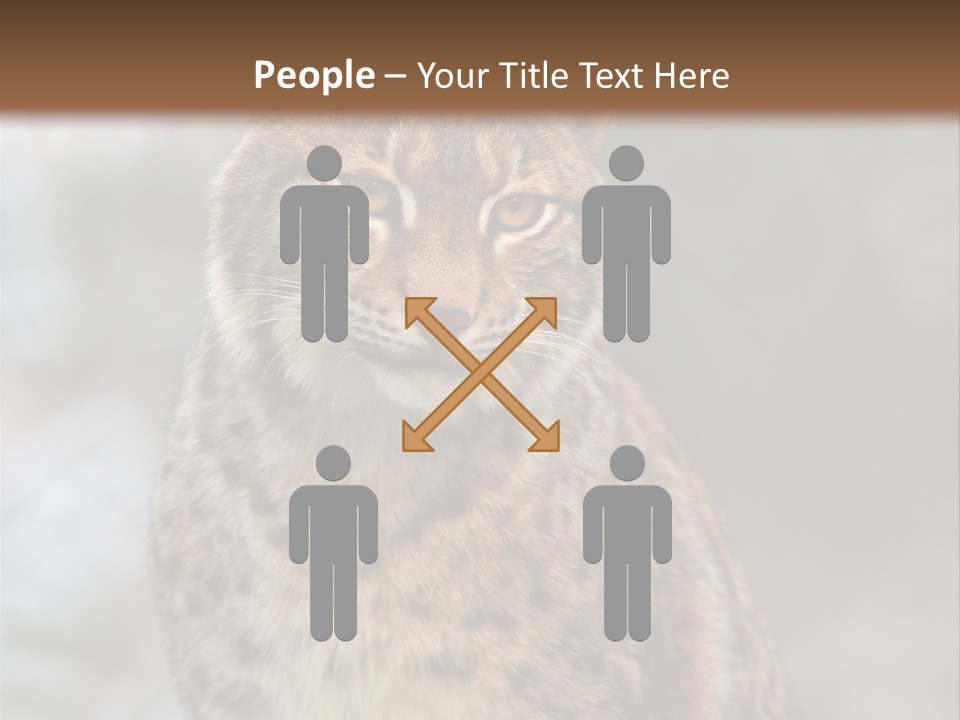 Zoo Food Cat PowerPoint Template