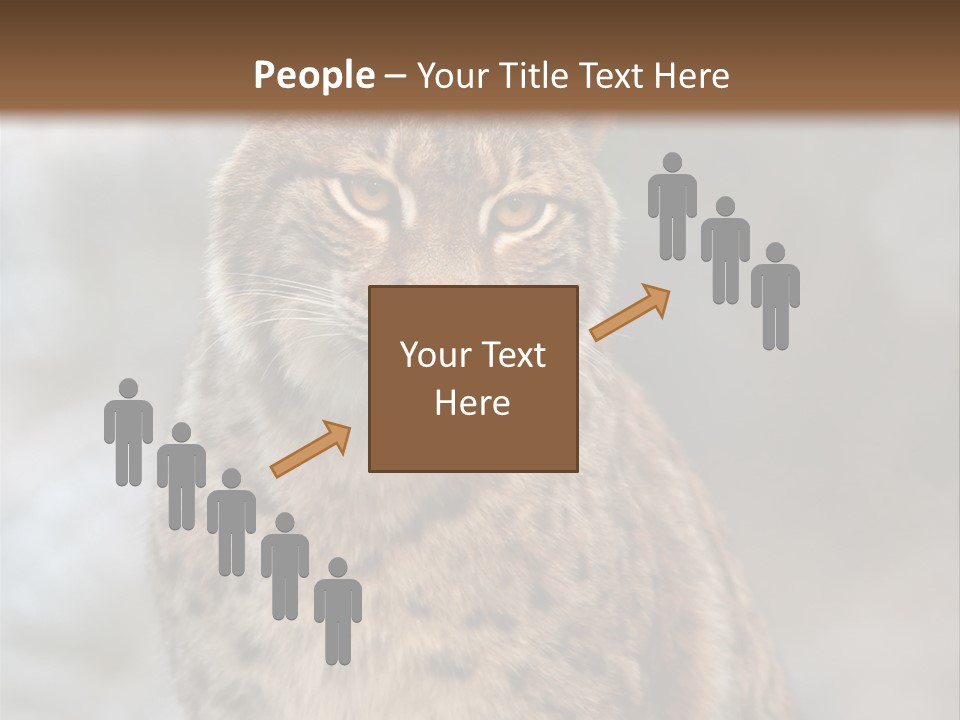 Zoo Food Cat PowerPoint Template