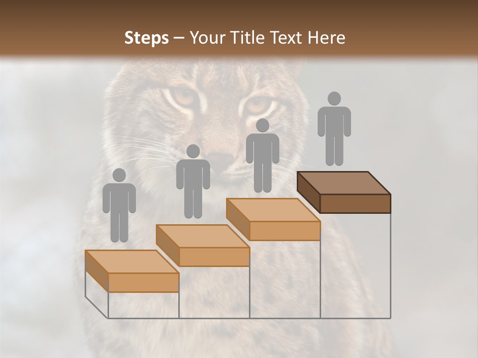 Zoo Food Cat PowerPoint Template