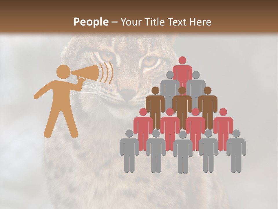 Zoo Food Cat PowerPoint Template