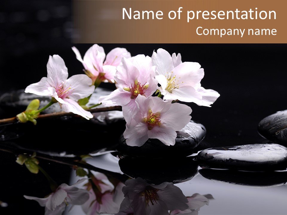 Fond D Écran Zen PowerPoint Template