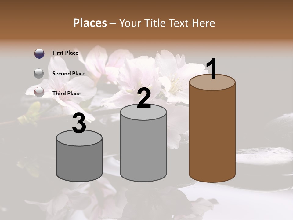 Fond D Écran Zen PowerPoint Template