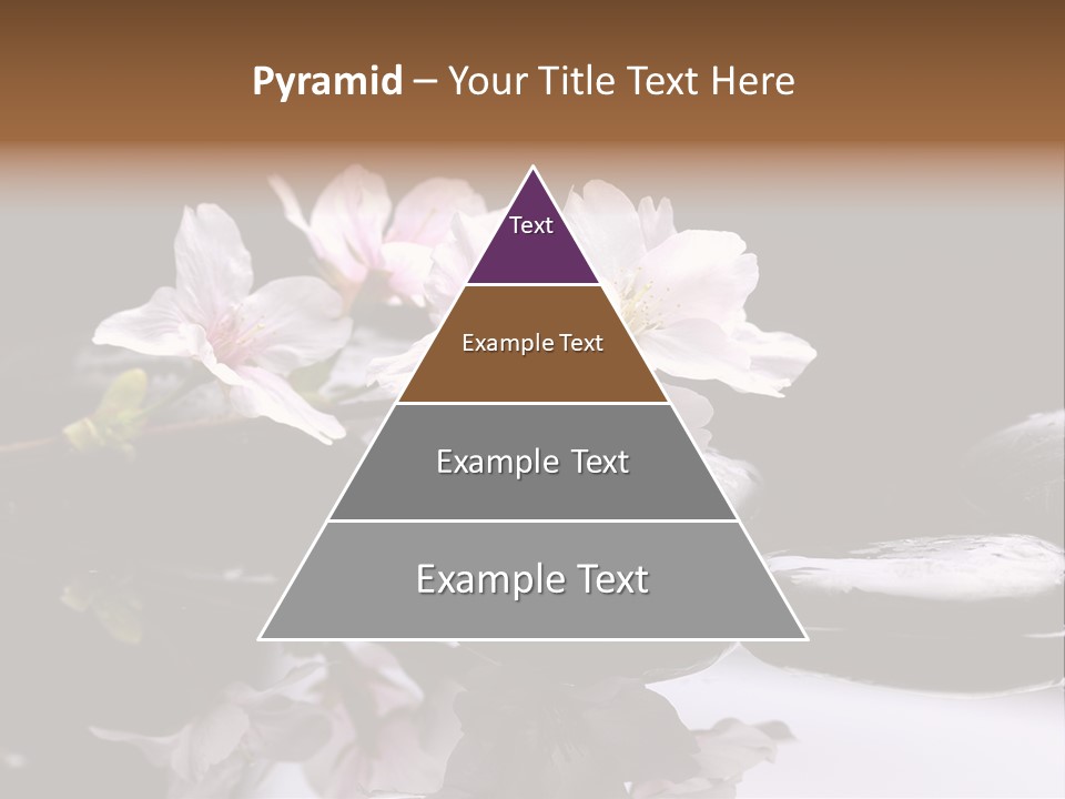 Fond D Écran Zen PowerPoint Template