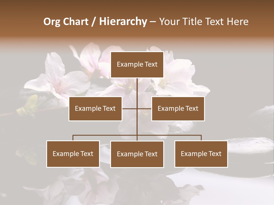 Fond D Écran Zen PowerPoint Template