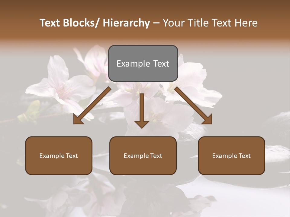 Fond D Écran Zen PowerPoint Template