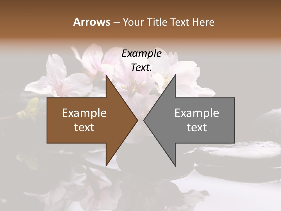 Fond D Écran Zen PowerPoint Template