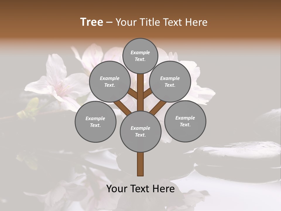 Fond D Écran Zen PowerPoint Template