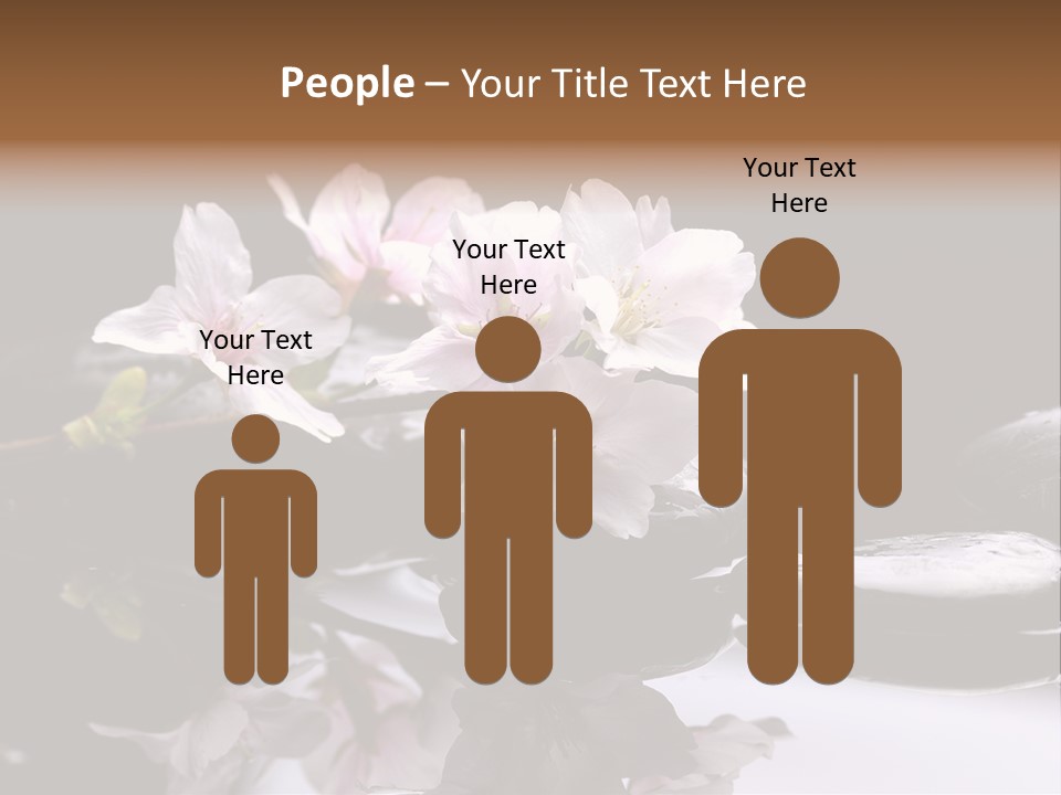 Fond D Écran Zen PowerPoint Template