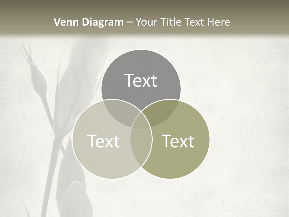 Old Stripes Natural PowerPoint Template