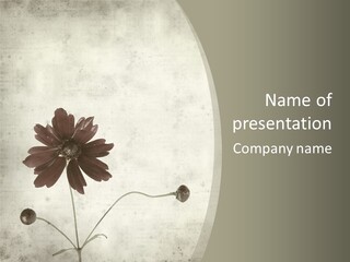 Retro Brown Weathered PowerPoint Template