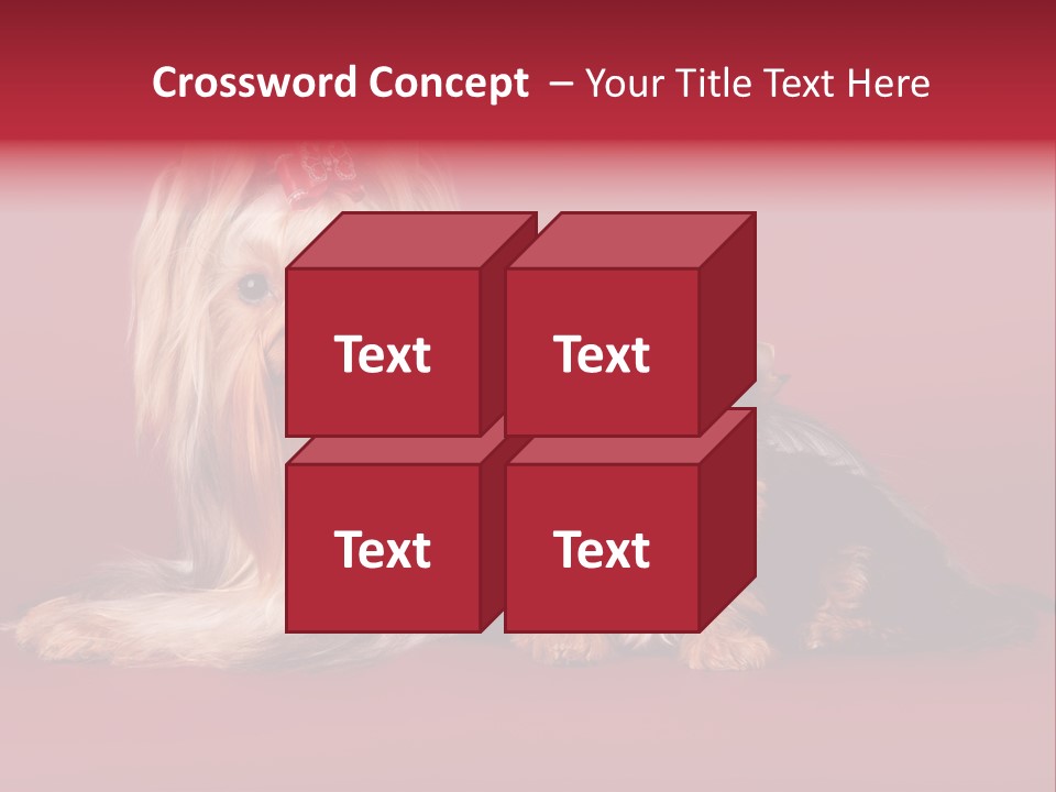 Yorkshire Terrier PowerPoint Template