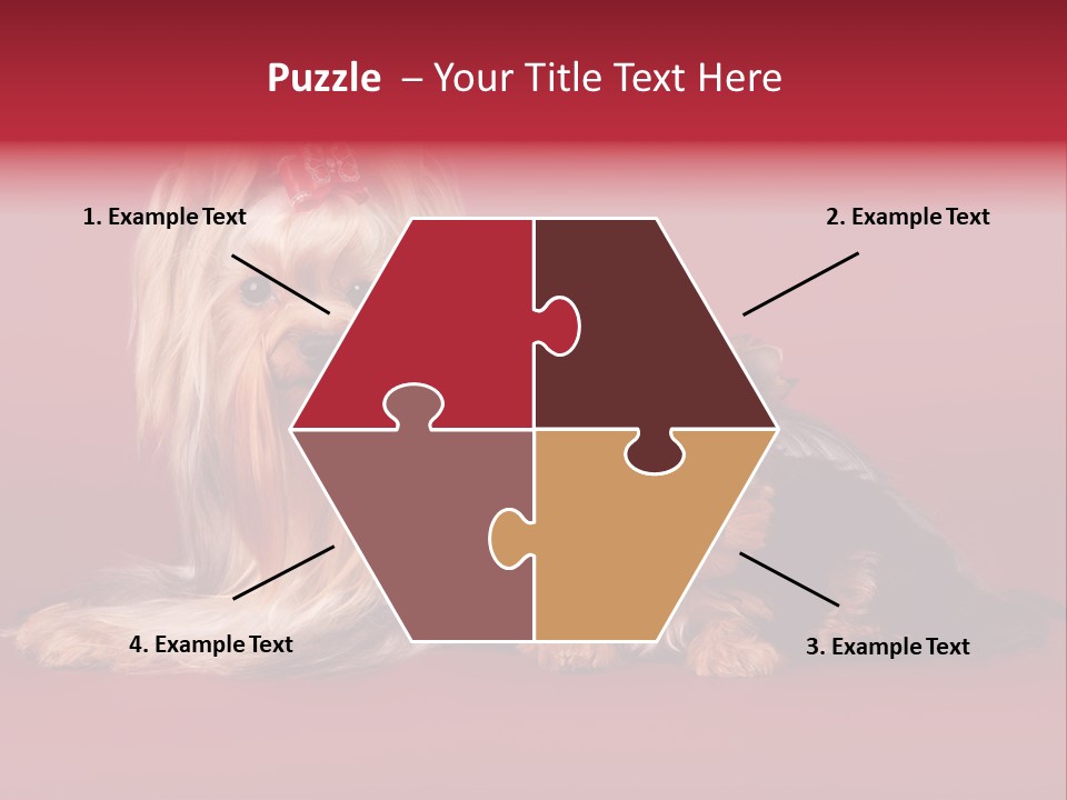 Yorkshire Terrier PowerPoint Template