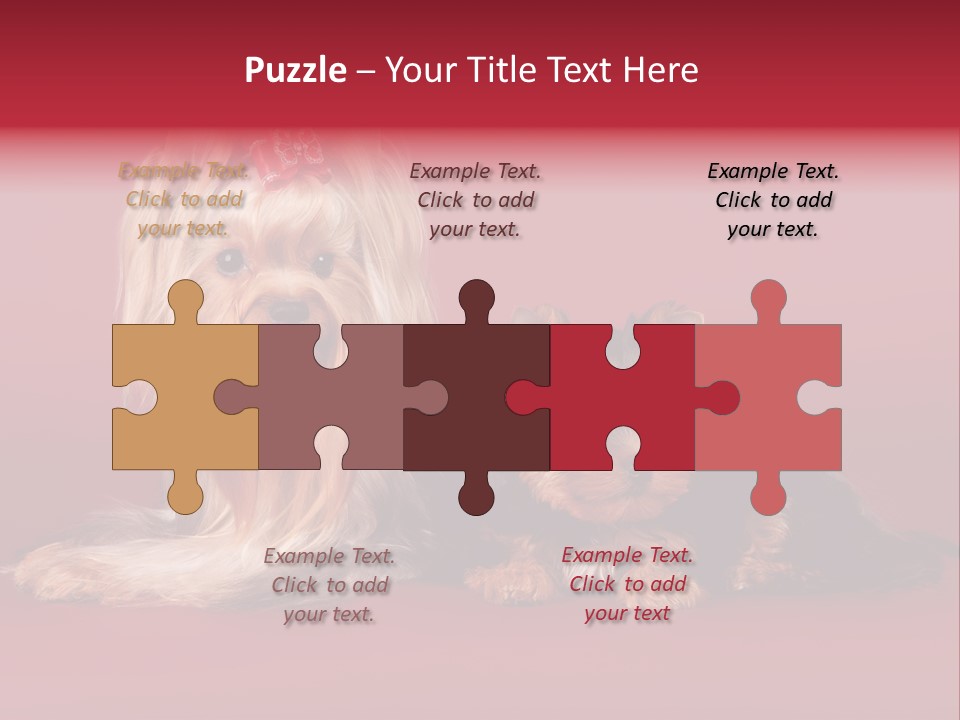 Yorkshire Terrier PowerPoint Template