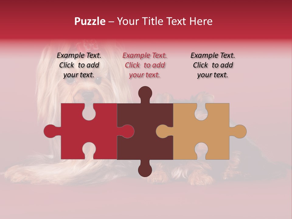 Yorkshire Terrier PowerPoint Template