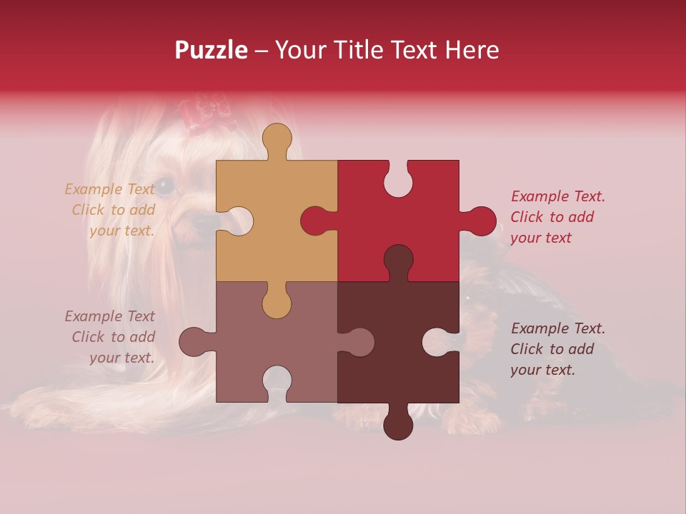 Yorkshire Terrier PowerPoint Template