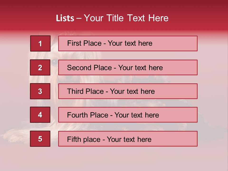 Yorkshire Terrier PowerPoint Template