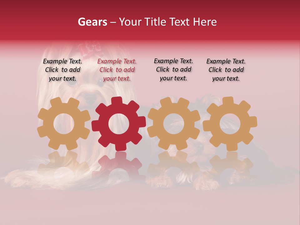 Yorkshire Terrier PowerPoint Template