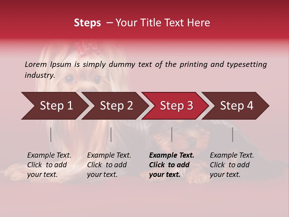 Yorkshire Terrier PowerPoint Template