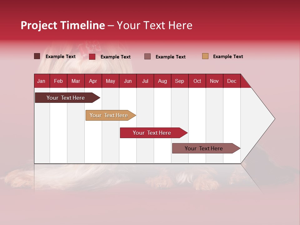 Yorkshire Terrier PowerPoint Template