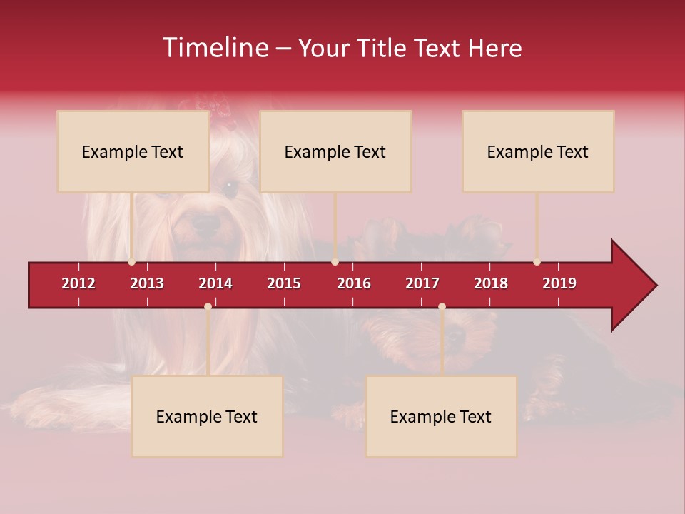 Yorkshire Terrier PowerPoint Template