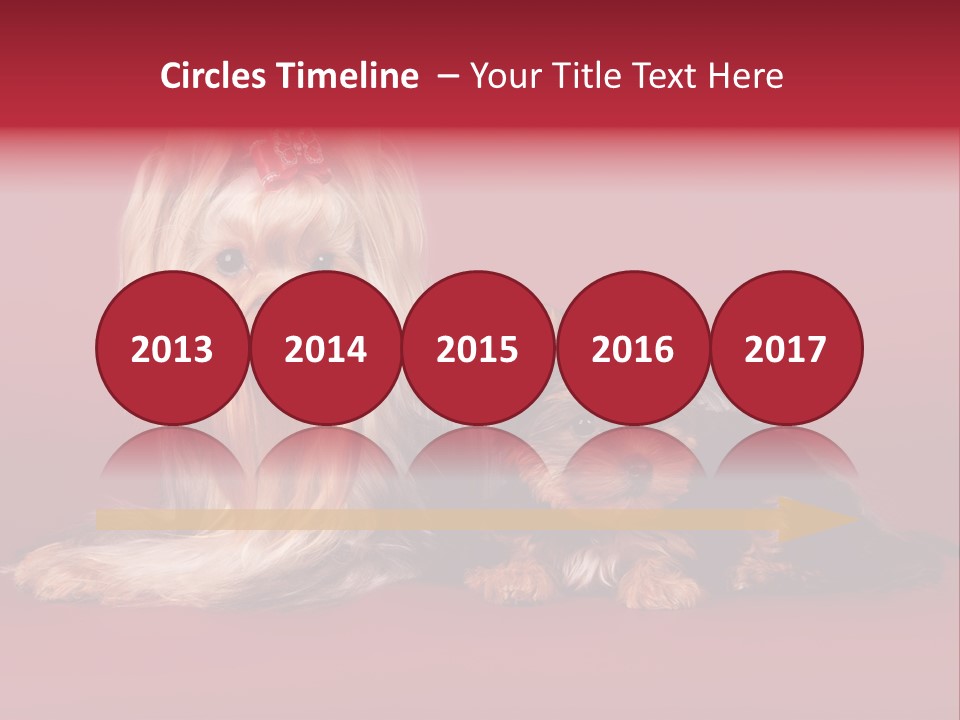 Yorkshire Terrier PowerPoint Template