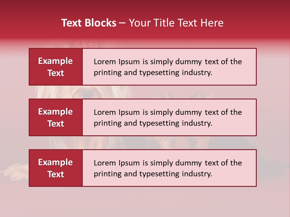 Yorkshire Terrier PowerPoint Template